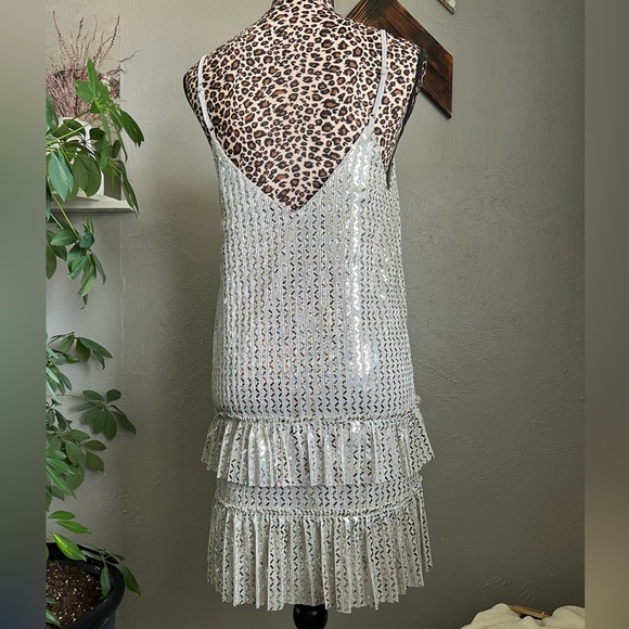 Shimmy Shimmy Slip Dress (Silver) - Small - Picture 2 of 13